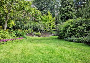 Optimiser l'expérience du jardin à Inval-Boiron
